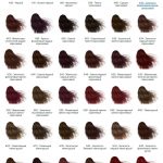 Палитра-крем-краска-для-волос-Erayba-Equilibrium-Hair-Color-Cream
