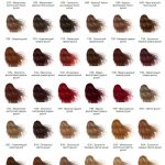 Палитра-краска-для-волос-Erayba-Equilibrium-Hair-Color-Cream
